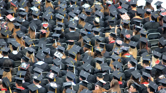 Le diplôme et le monde du travail